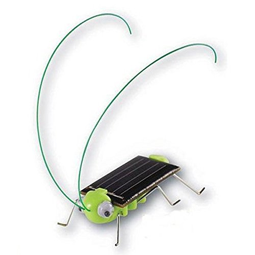 Pink Lizard Educational Solar powered Grasshopper Toy Gadget